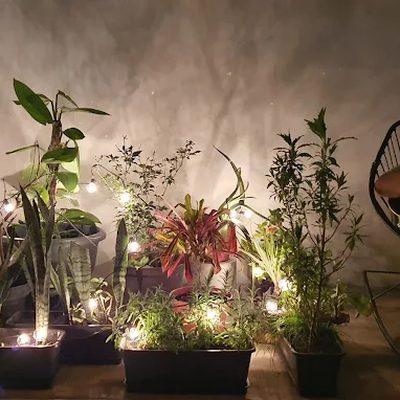 Base Camp México